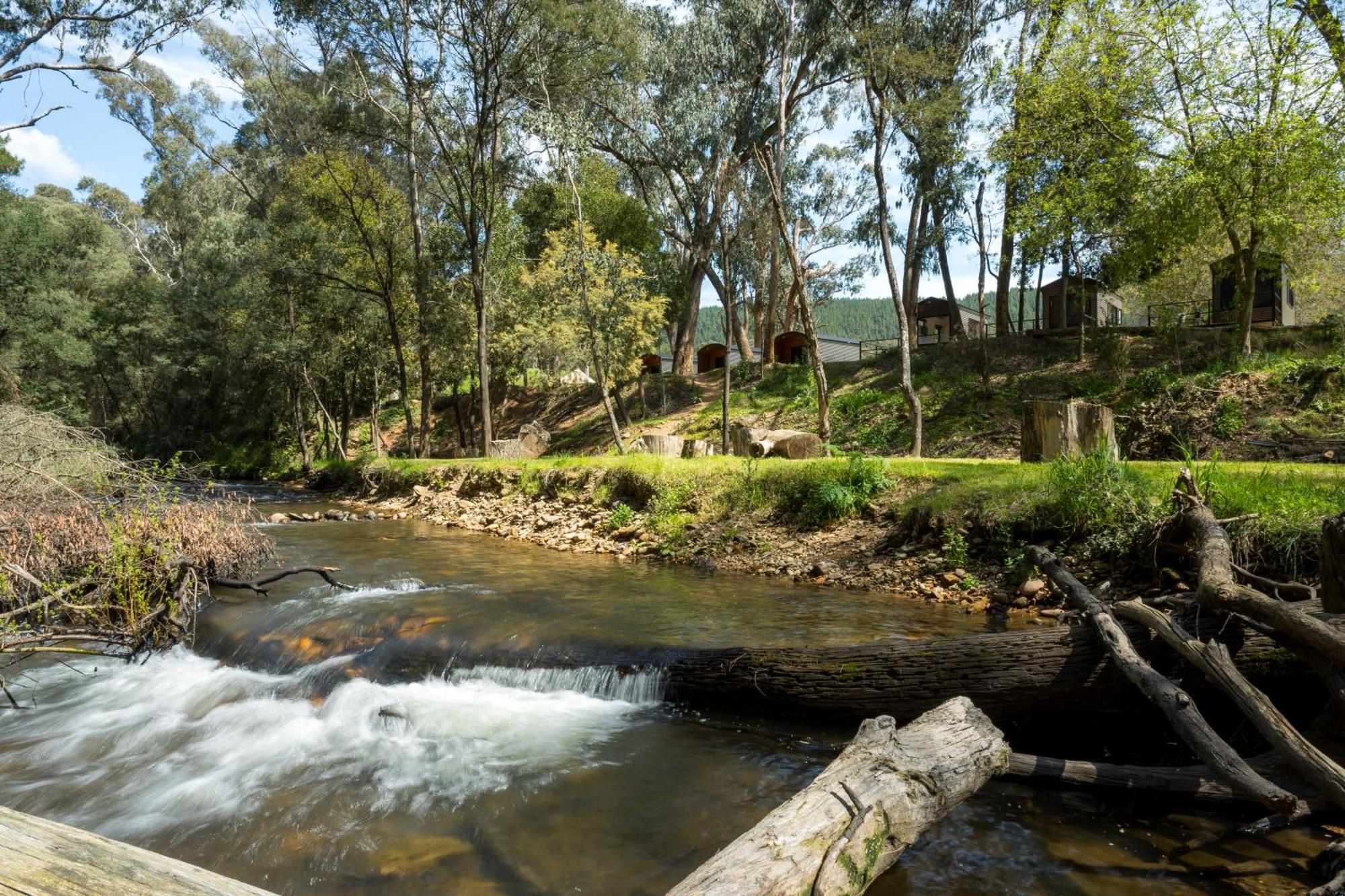 Bright Cabin Park Ngoại thất bức ảnh